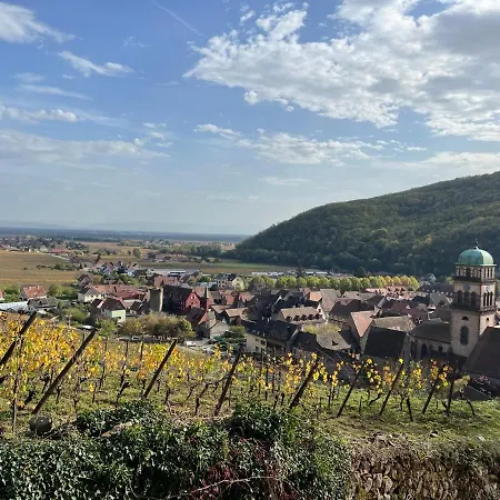La Jolie Maison Bleue Avec Terrasse Kaysersberg-Vignoble Exterior photo