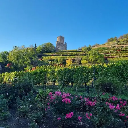 La Jolie Maison Bleue Avec Terrasse Kaysersberg-Vignoble Exterior photo