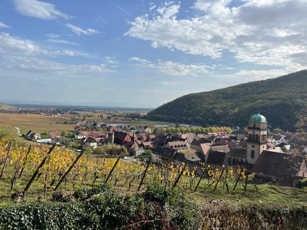 Apartment La Jolie Maison Bleue Avec Terrasse Kaysersberg-Vignoble