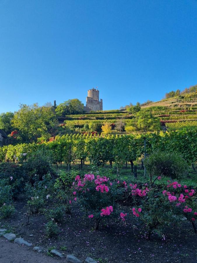 La Jolie Maison Bleue Avec Terrasse Kaysersberg-Vignoble